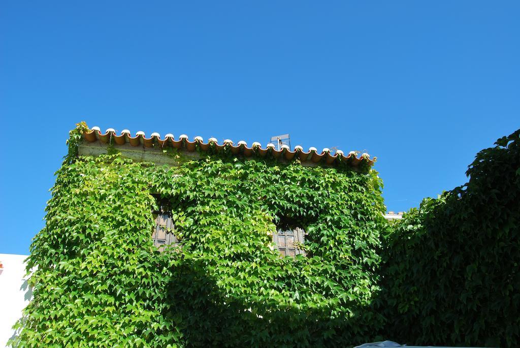 Rio Natural Hotel Vila Nova de Milfontes Exterior photo